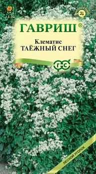 Клематис маньчжурский Таежный снег, 0,05г