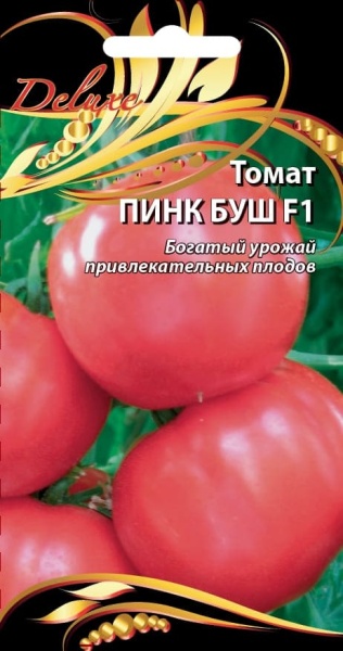 пб (1) (1)