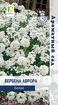 Вербена Аврора Белая (Ароматный сад) 10шт