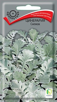 Цинерария Снежок (0,1гр)