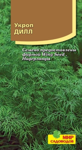 Укроп Дилл
