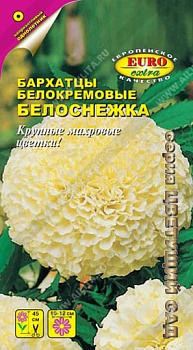 Бархатцы прямостоячие Белоснежка