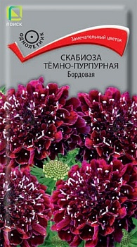 Скабиоза темно-пурпурная Бордовая (0,2гр)