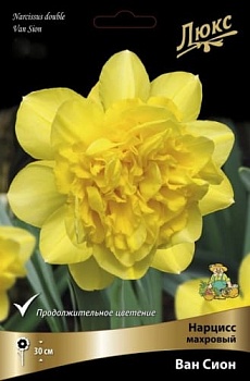Нарцисс махровый Ван Сион (цена за 1 луковицу)