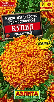 Бархатцы прямостоячие Купид Оранжевые 0,1г