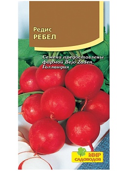 Редис Ребел (100шт)