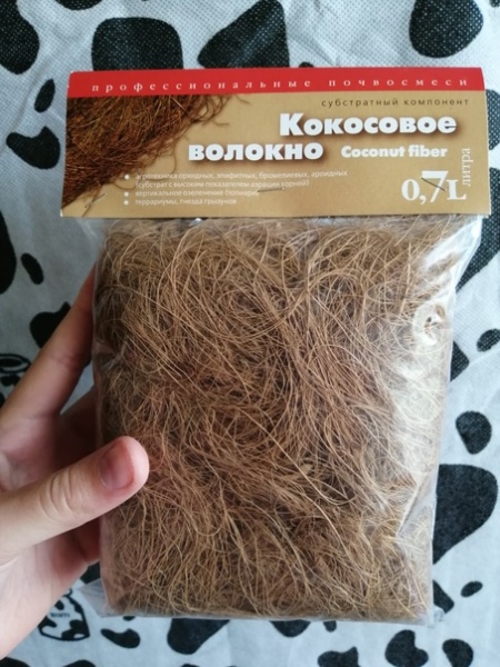 mini-arbuz-na-substrate-iz-kokosovogo-volokna-pokazyvaet-luchshij-rezultat