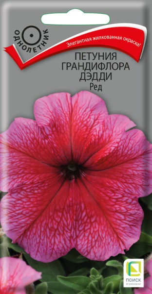 petunia_grandiflora_daddy_red