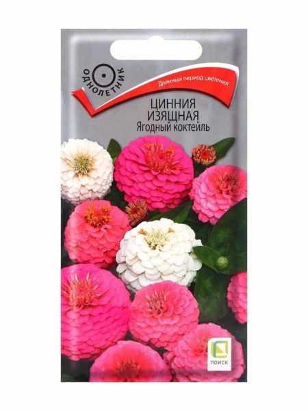 изящ (1)