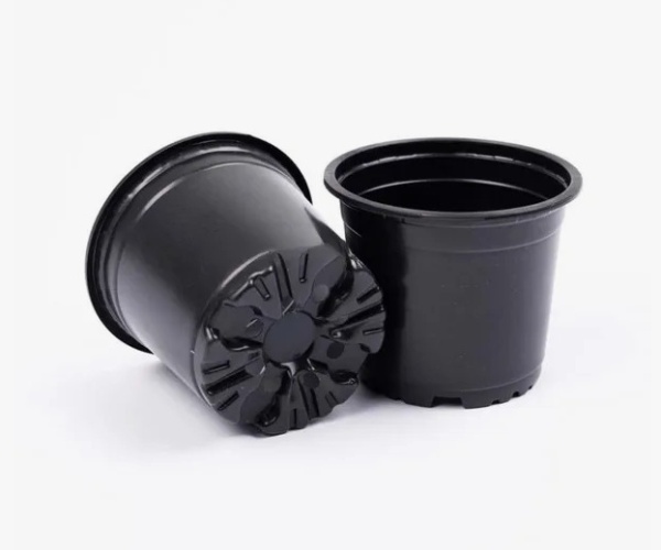 2025-10-31_23-03-35 (1)