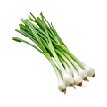 Лук на зелень