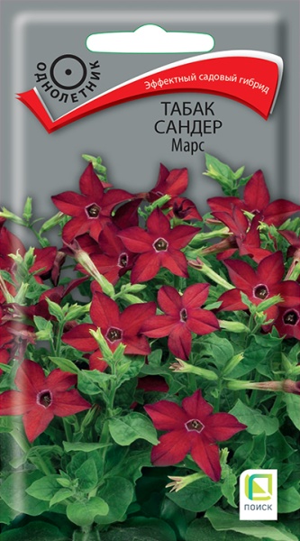 tabak_sander_mars