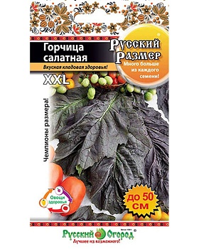 Горчица Салатная Русский Размер 100шт