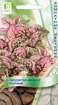 Гипоэстес Мрамор Розовый  7шт.