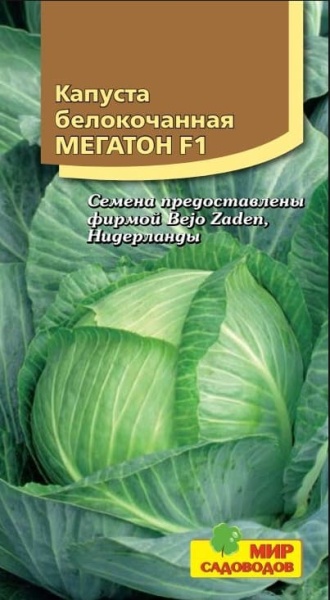 2026-02-14_07-42-13