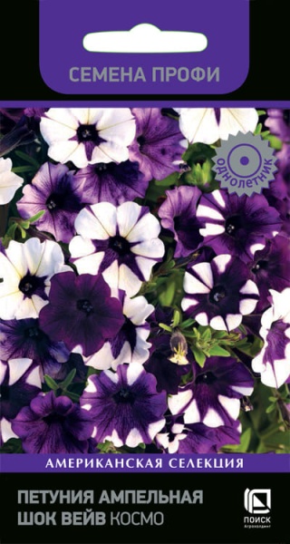 petunia_ampel_f1_shock_wave_kosmo (1)