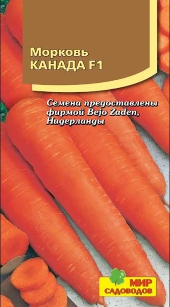 2025-10-12_09-44-48