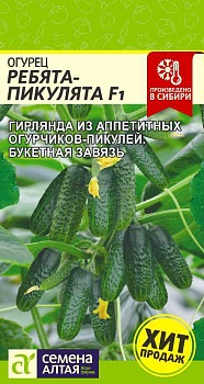 Огурец Ребята - Пикулята F1 (5шт)