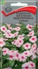 katarantus_ampelnyy_mediterranean_stroberri (1)