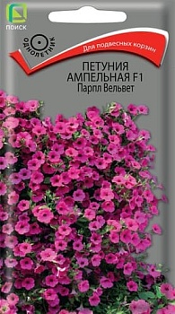 Петуния ампельная Парпл Вельвет F1 (5шт)