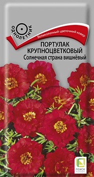 Портулак крупноцветковый Солнечная страна Вишневый (0,1гр)