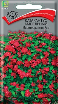 Катарантус ампельный Медитерранеан Ред  10шт