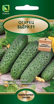 Огурец Бьерн 5шт