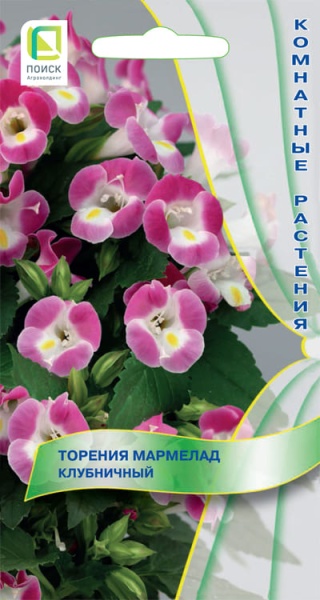 torenia_marmelad_klubnichniy (1)