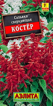 Сальвия Костер красная 0,1г (А)