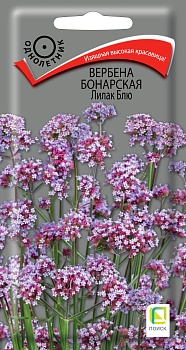 Вербена бонарская Лилак Блю 0,1гр.
