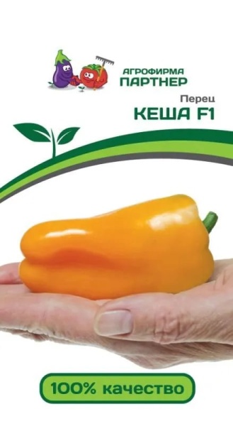 кеша