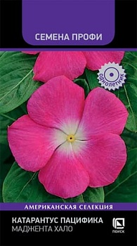 Катарантус Пацифика Маджента Хало  10 шт