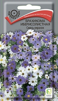 Брахикома иберисолистная Смесь окрасок (0,03гр)
