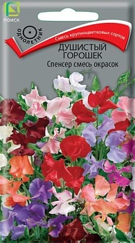 Душистый горошек Спенсер Смесь окрасок (2гр)