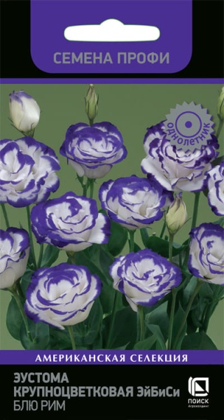 eustoma_krupnocvet_abc_blue_rome (1)