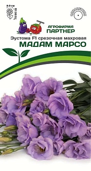 Эустома МАДАМ МАРСО F1 (5шт)