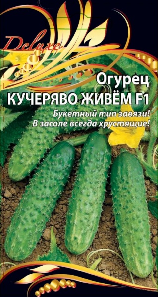 cd584916d1db3573e715721c6ef672aa