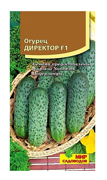 Огурец Директор 5шт 