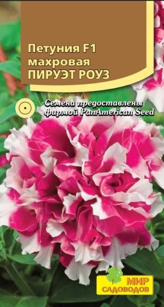 2025-10-10_22-11-19 (2)
