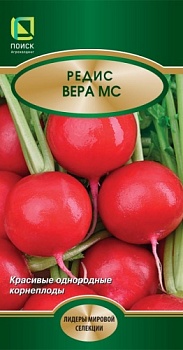 Редис Вера МС 3гр.