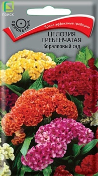 Целозия гребенчатая Коралловый сад (0,1гр)