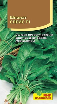 Шпинат Спейс  (2г)