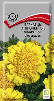 Бархатцы отклоненные махровые Лемон Дроп (0,4гр)