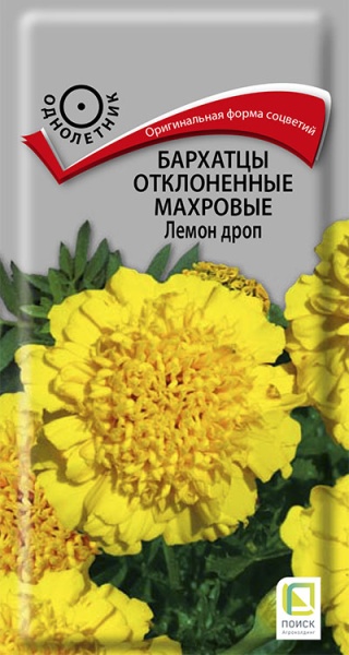 barhatsy_otklon_mahrov_lemon_drop