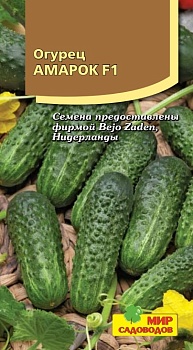 Огурец Амарок F1 (8 шт)