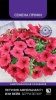 petunia_ampel_f1_easy_wave_barry_velur (1)