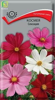 Космея Сенсация (0,1гр) 