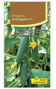 Огурец Клодин F1 (8шт)