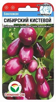 Баклажан Сибирский кистевой (20шт)