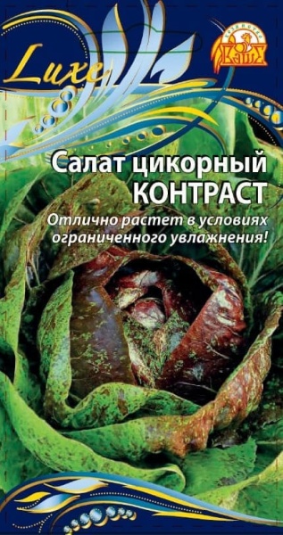 ссввс (1) (1) (1)